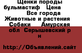 Щенки породы бульмастиф › Цена ­ 25 000 - Все города Животные и растения » Собаки   . Амурская обл.,Серышевский р-н